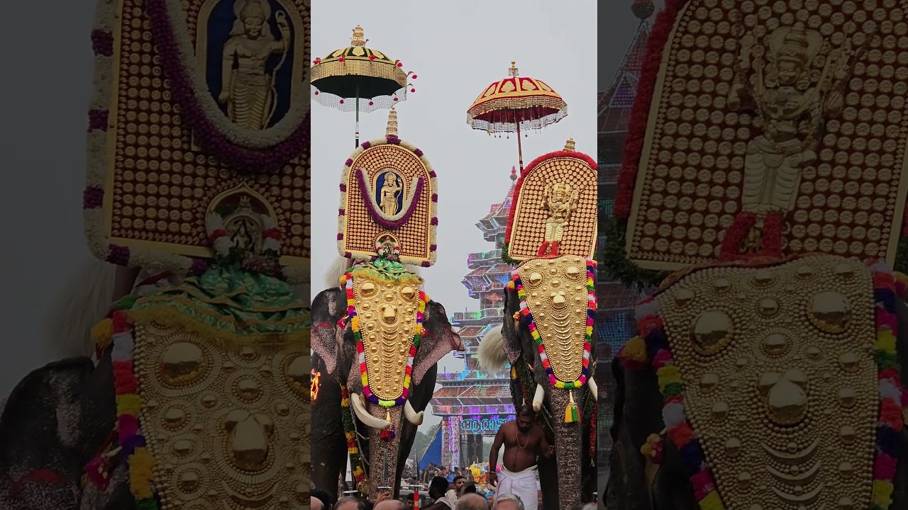 Aarattupuzha Pooram Vaikunda darsanam #aarattupuzha