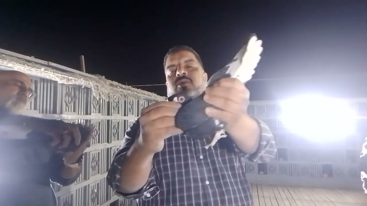 ١٦ فبراير ٢٠٢٦