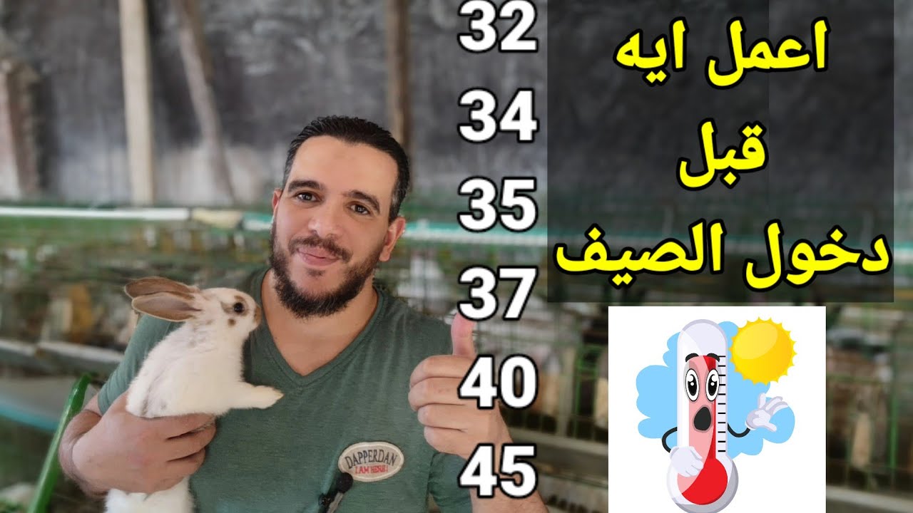 صيف 2024غير اي صيف تعالى اعرف اذاي تنجح وتتخطى الاجهاد الحراري مع الارانب