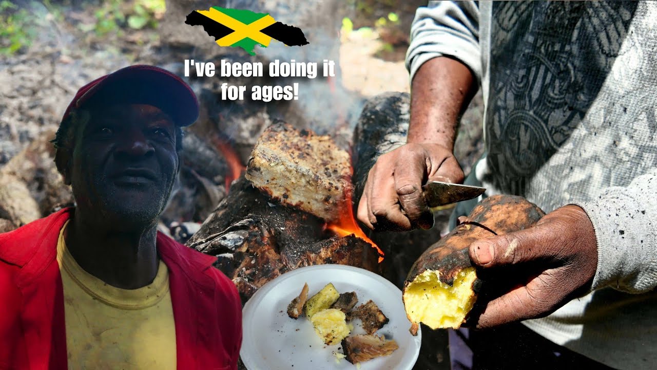 Original ROAST YAM & SALTFISH EATERS in the Hills of Jamaica, YEARS Of Coffee Experience
