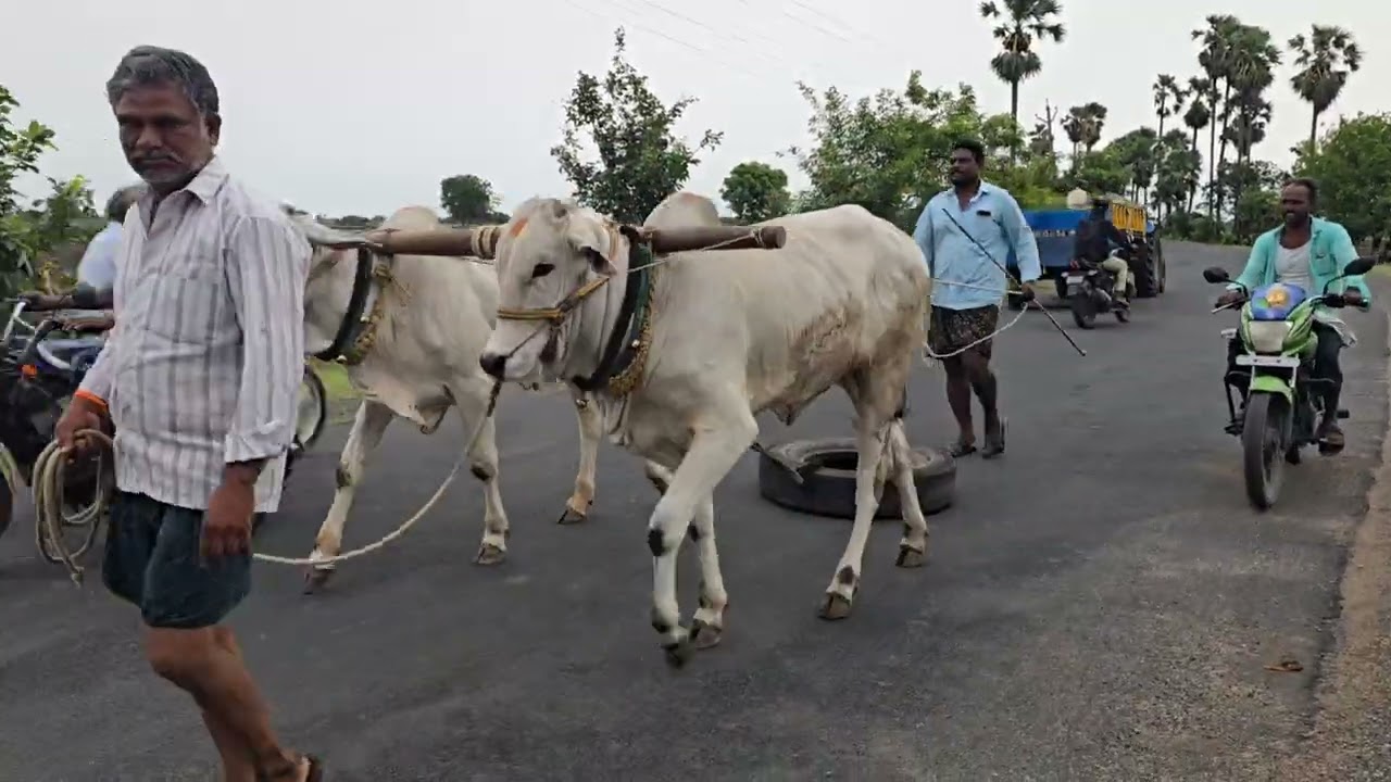 Nallabothu Subharao gari milk teeth mulls Ramakrishna puram sattenapalli