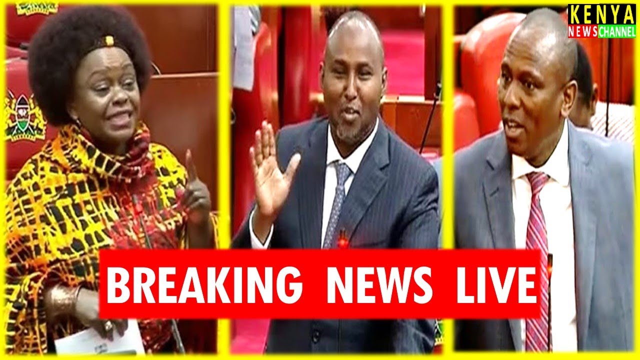 LIVE PARLIAMENT - MPs react to Raila AUC Election Defeat in National Assembly