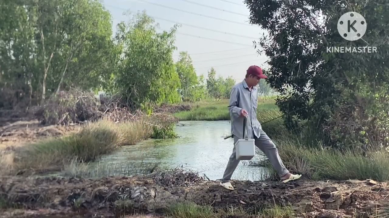 Sáng Nay Mới Phát Hiện Điểm Lure Cá Lóc Rất Lý Tưởng mới kéo vài đường Cá đã Táp 