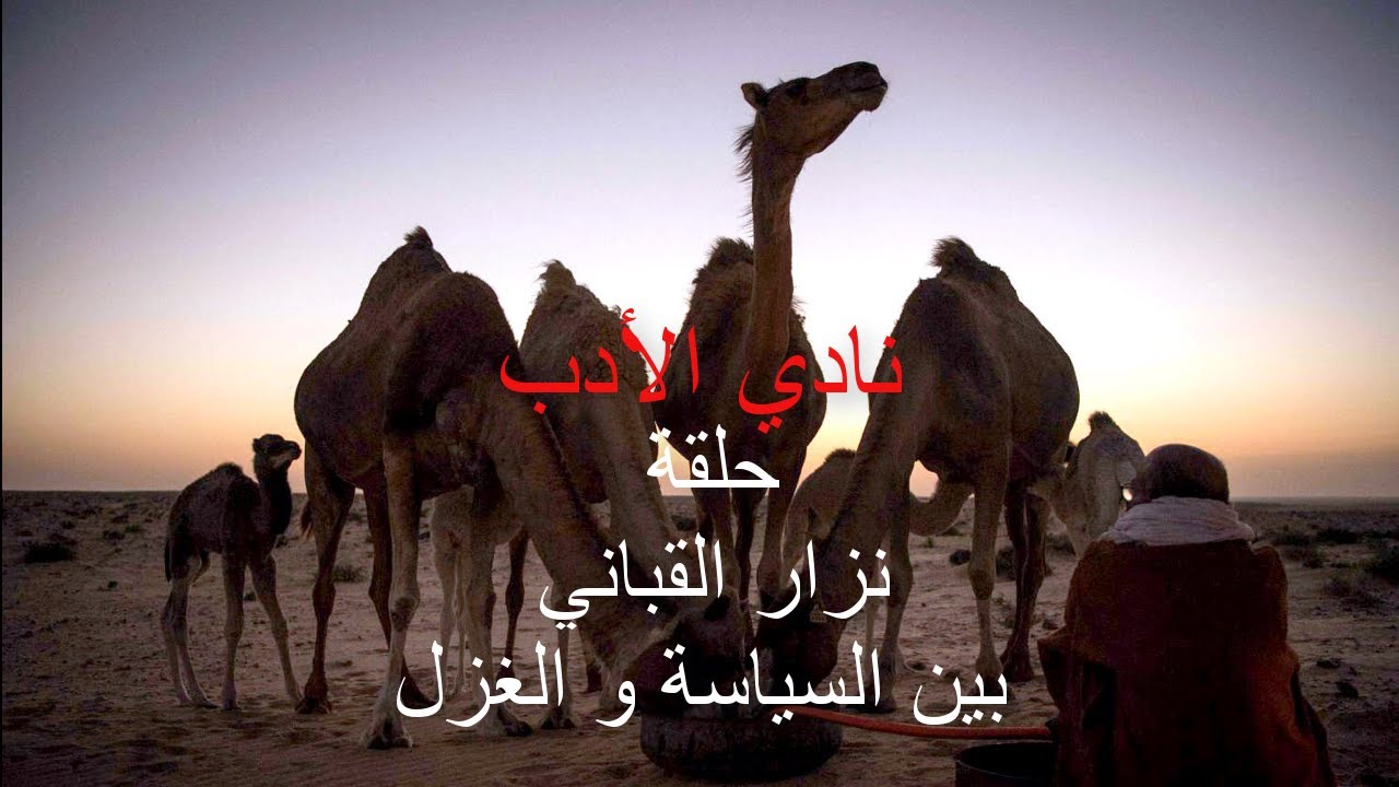 نادي الادب حلقة نزار القباني بين السياسة و الغزل تقديم حمدي ميارة