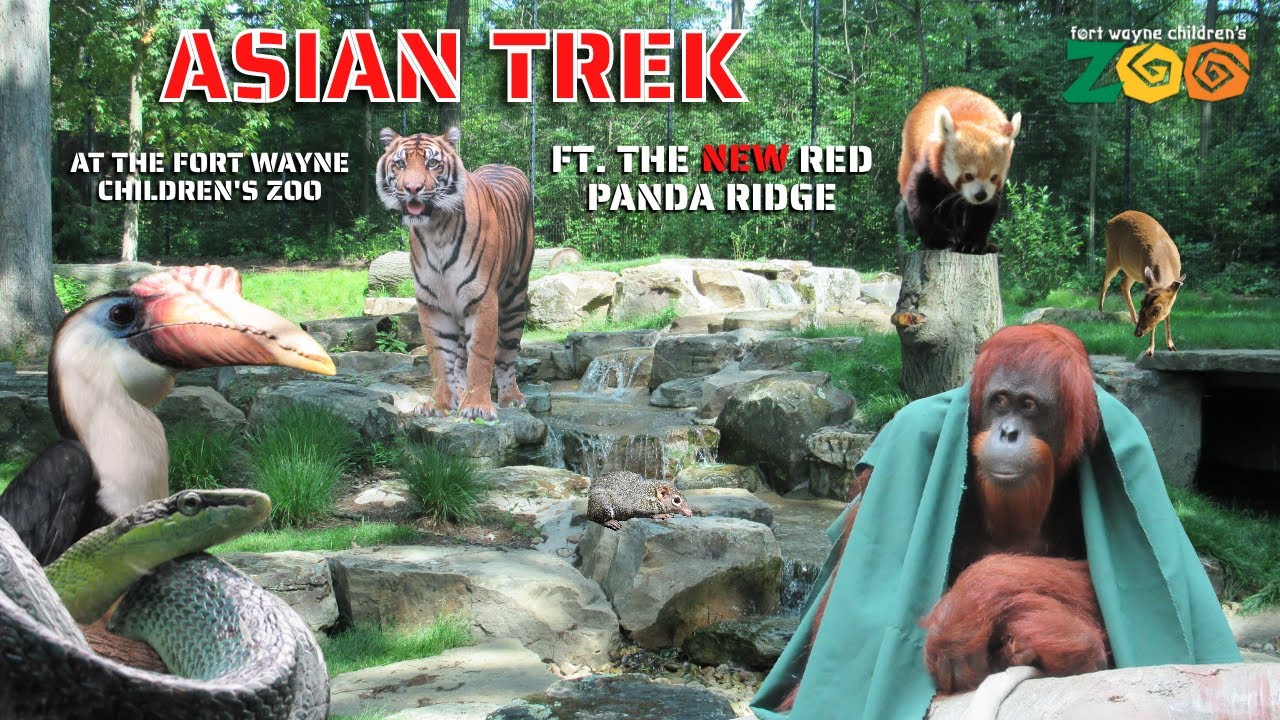 Asian Trek at the Fort Wayne Children's Zoo | Exhibit Tours Ep. 31
