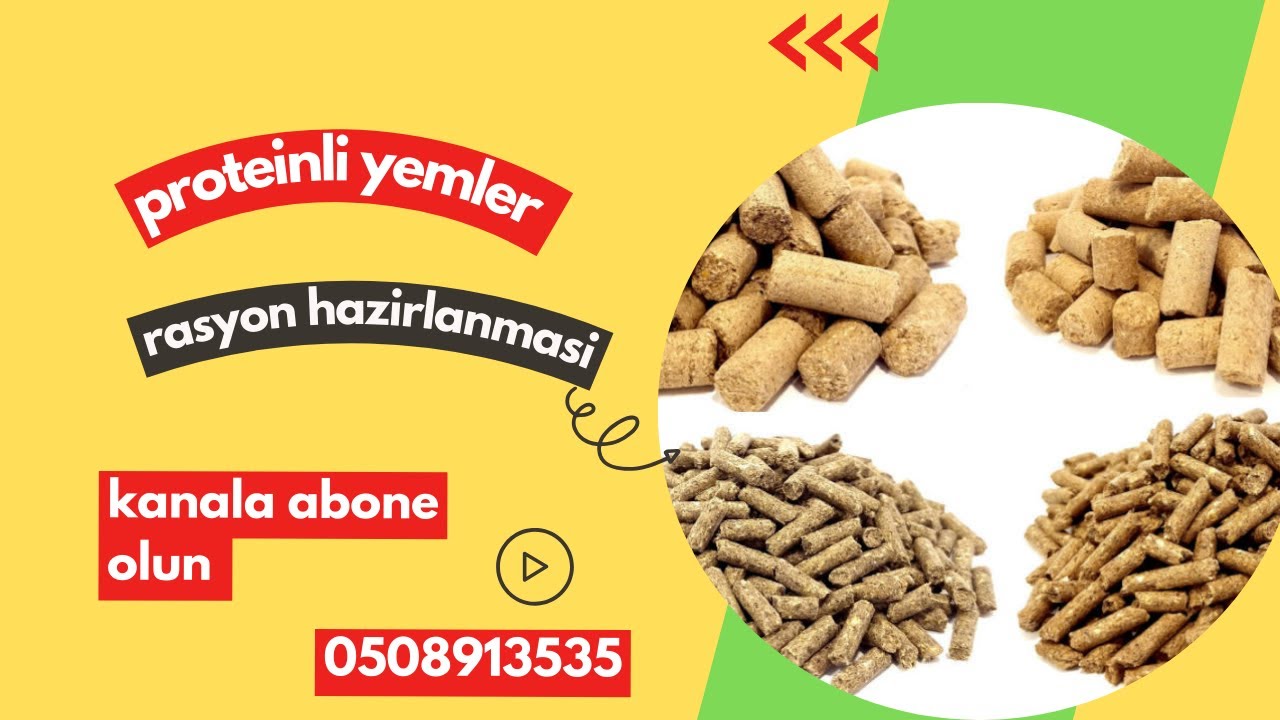 PROTEİNLİ YEMLER HANSİLARDİ (Rasyon hazirla )