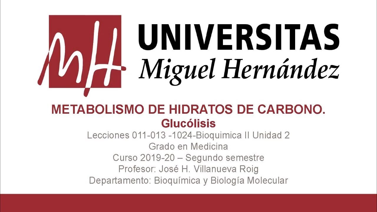 Lecc 011-013 Glucolisis (umh1024 2019-20)