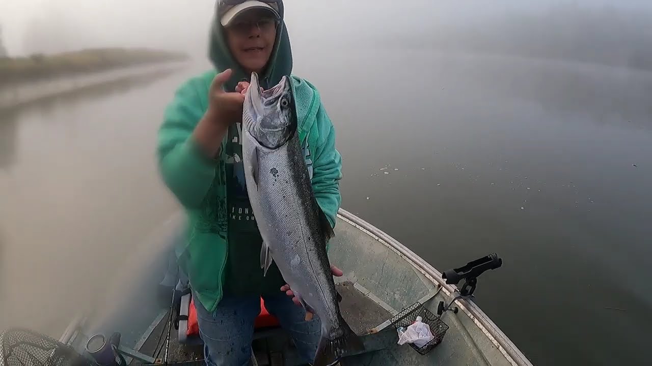 Chehalis salmon fishing 2025 part 2, coho salmon