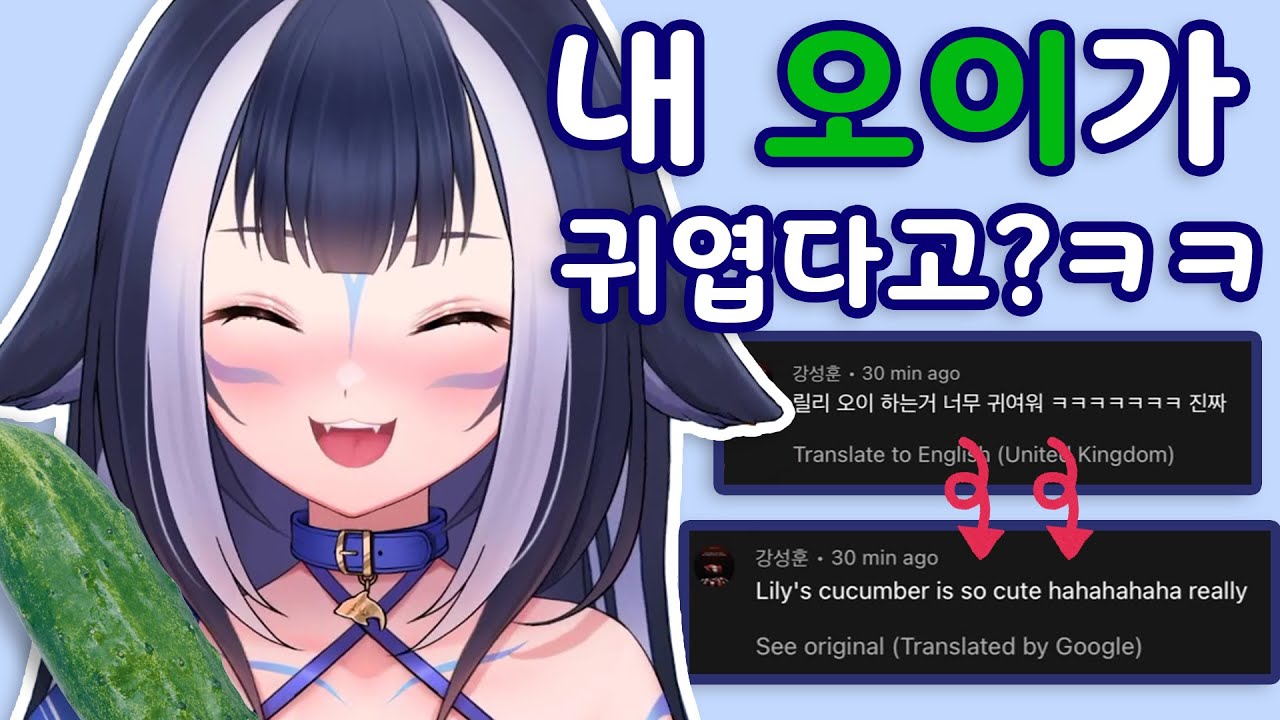 릴리의 댓글 번역 대 참사 ㅋㅋㅋㅋㅋㅋ