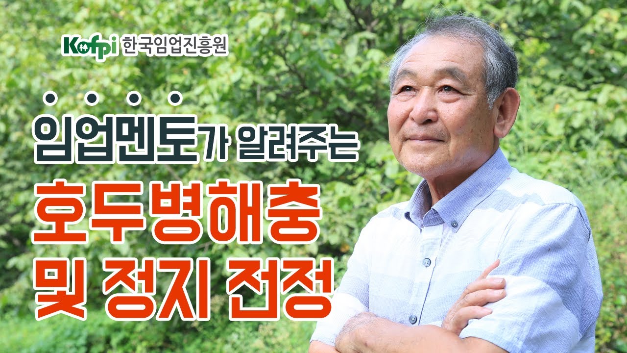 [호두 재배] 4차-호두 병충해 및 정지전정｜청정임산물재배교실