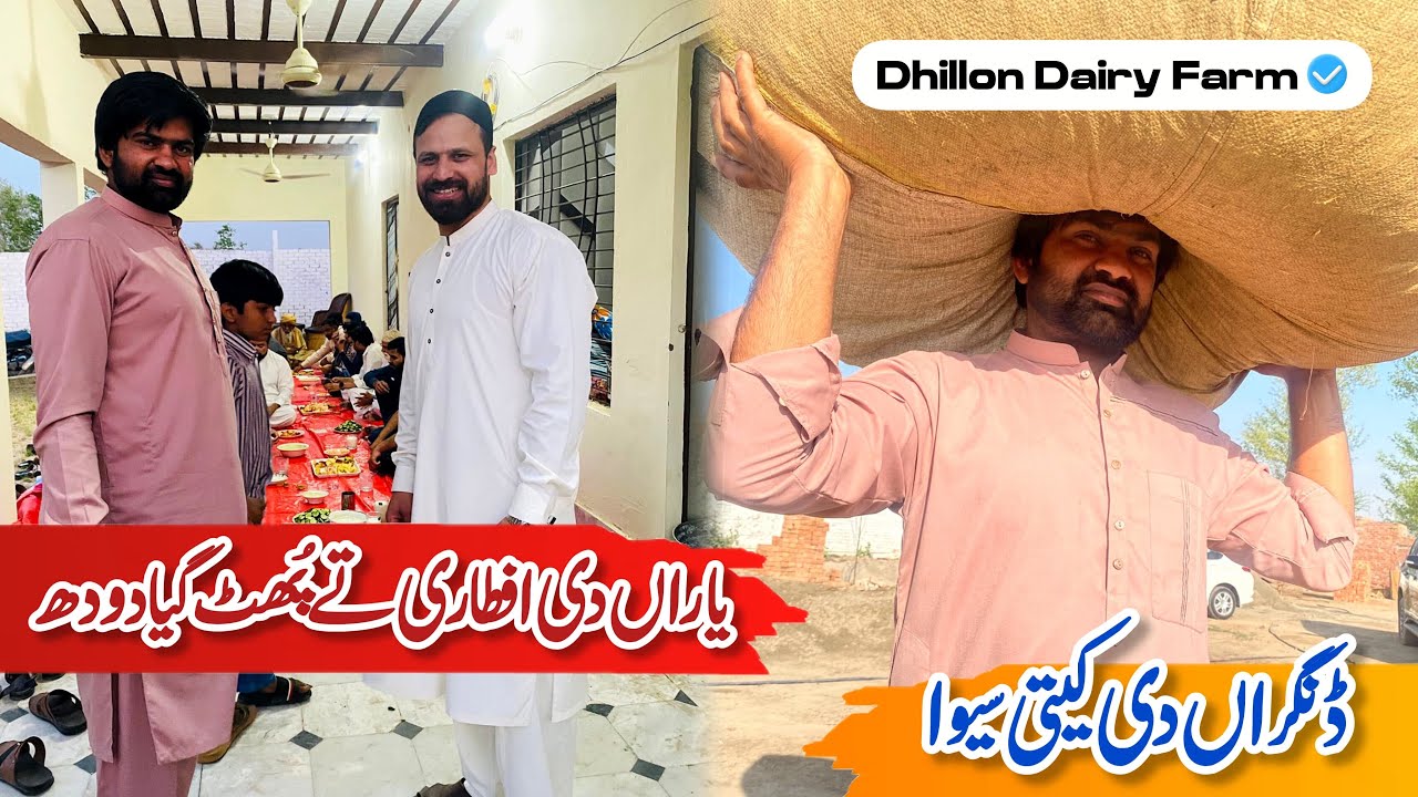 Farm ty Yaraan di Aftaari | Dhillon Dairy Farm || Faisal jutt 