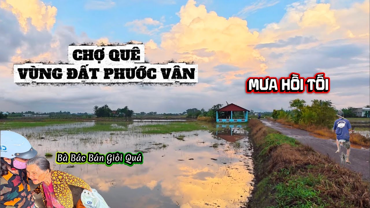 Vùng Quê Cảm Nhận Cơn Mưa Hồi Tối | Gặp Bà Bác 80 Tuổi Một Mình Bán Chợ Phước Vân Nuôi Gia Đình .
