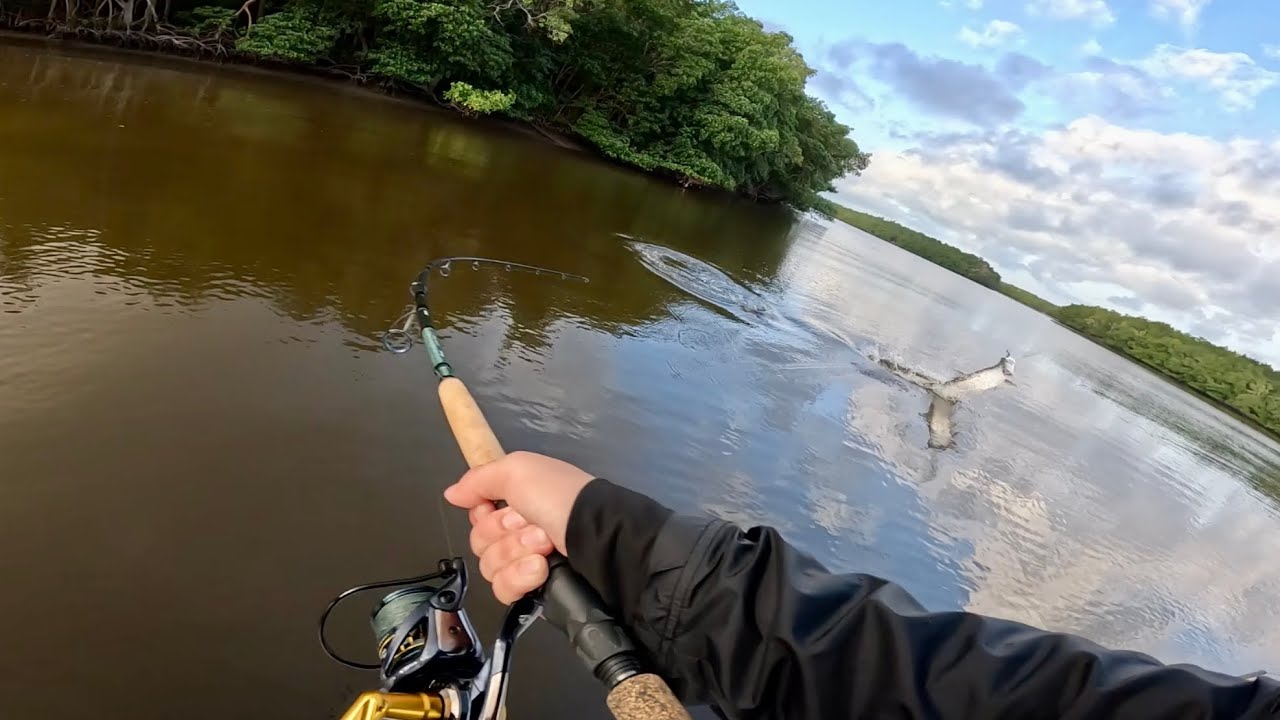 Throwing Glidebaits for MASSIVE Everglades Tarpon