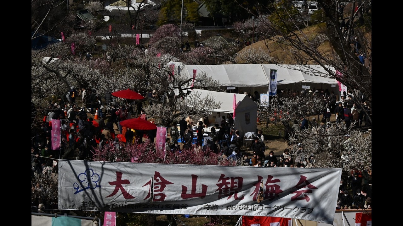 梅の香りがいっぱ〜い！横浜・大倉山観梅会（2026年2月21日）