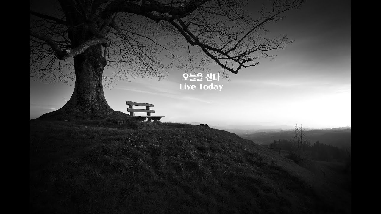 전도서 9장 | 오늘을 살아간다 (말씀 낭독) Ecclesiastes 9 | Living Today (Scripture Reading)