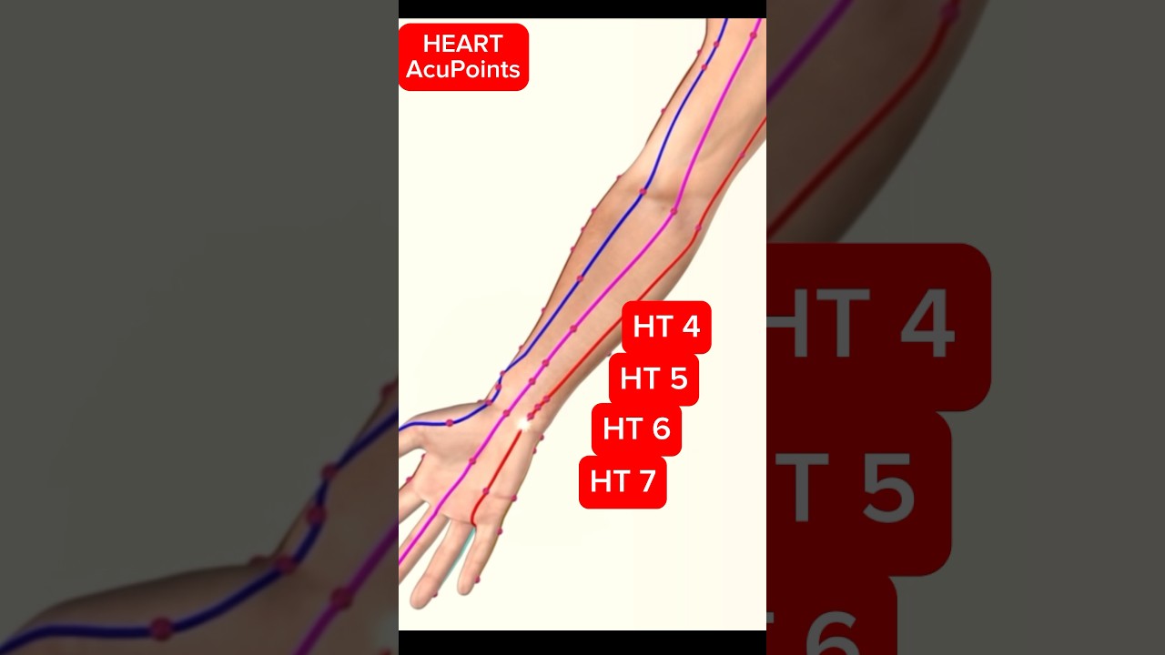 The Heart Meridian Acupuncture Points #acupuncture