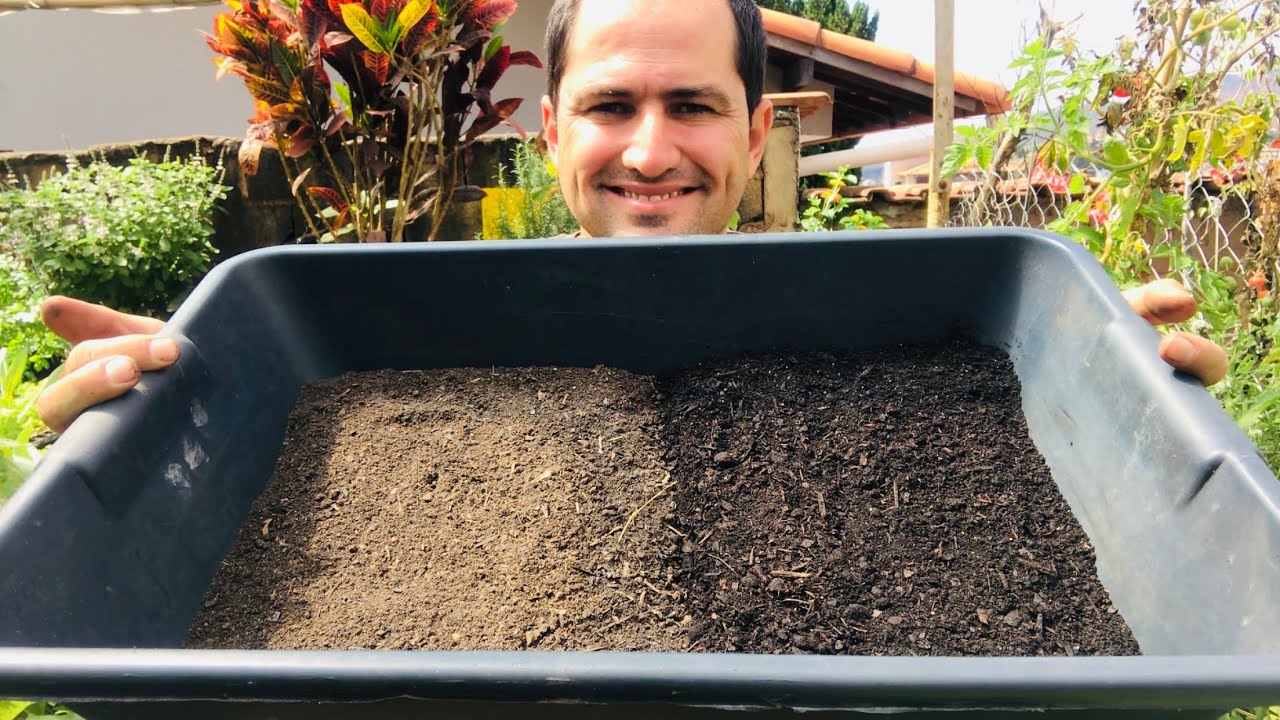 QUAL A DIFERENÇA ENTRE SUBSTRATO E TERRA VEGETAL