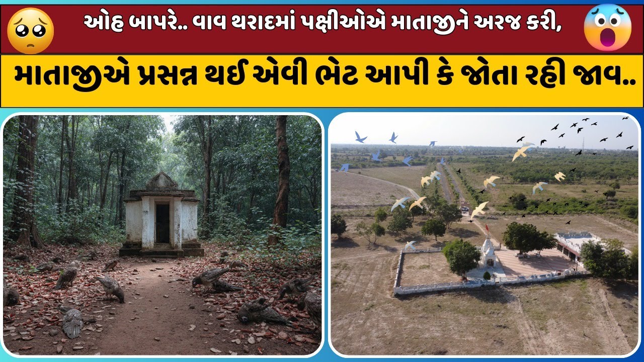 ઓહ બાપરે.. Vav - Tharad માં પક્ષીઓએ માતાજીને અરજ કરી, | Mittal Patel | VSSM