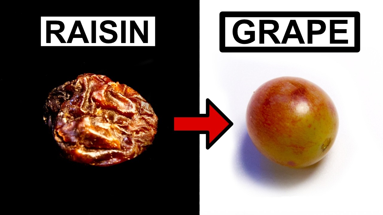 Turning a raisin back into a grape