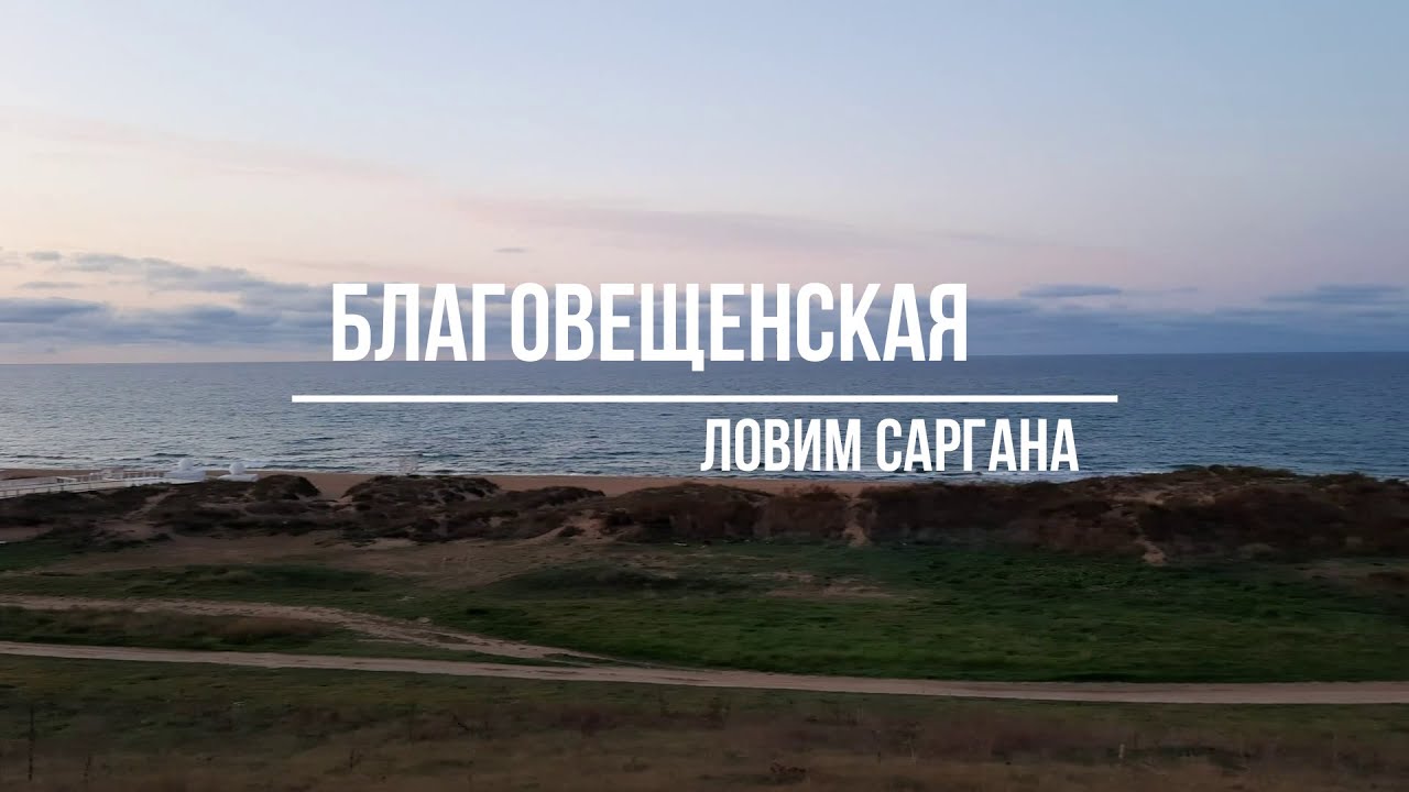 Благовещенская, ловим Саргана.
