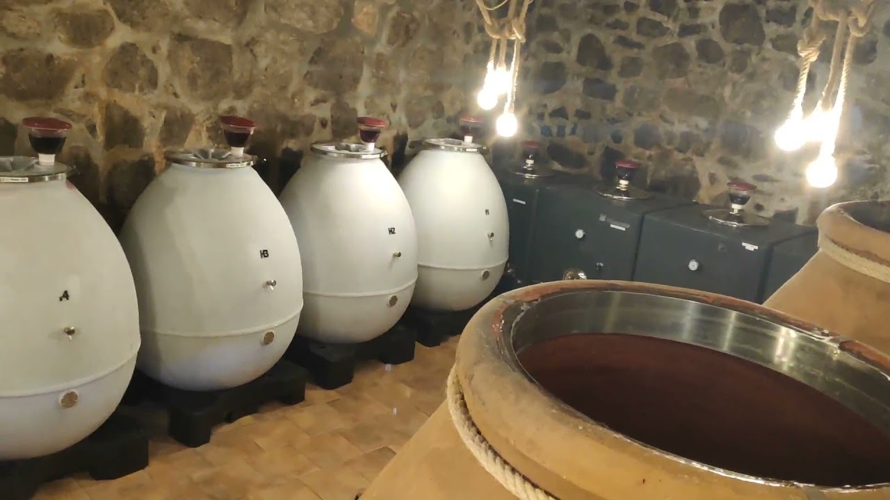 Fermentación Maloláctica en Vinos ¿que es?
