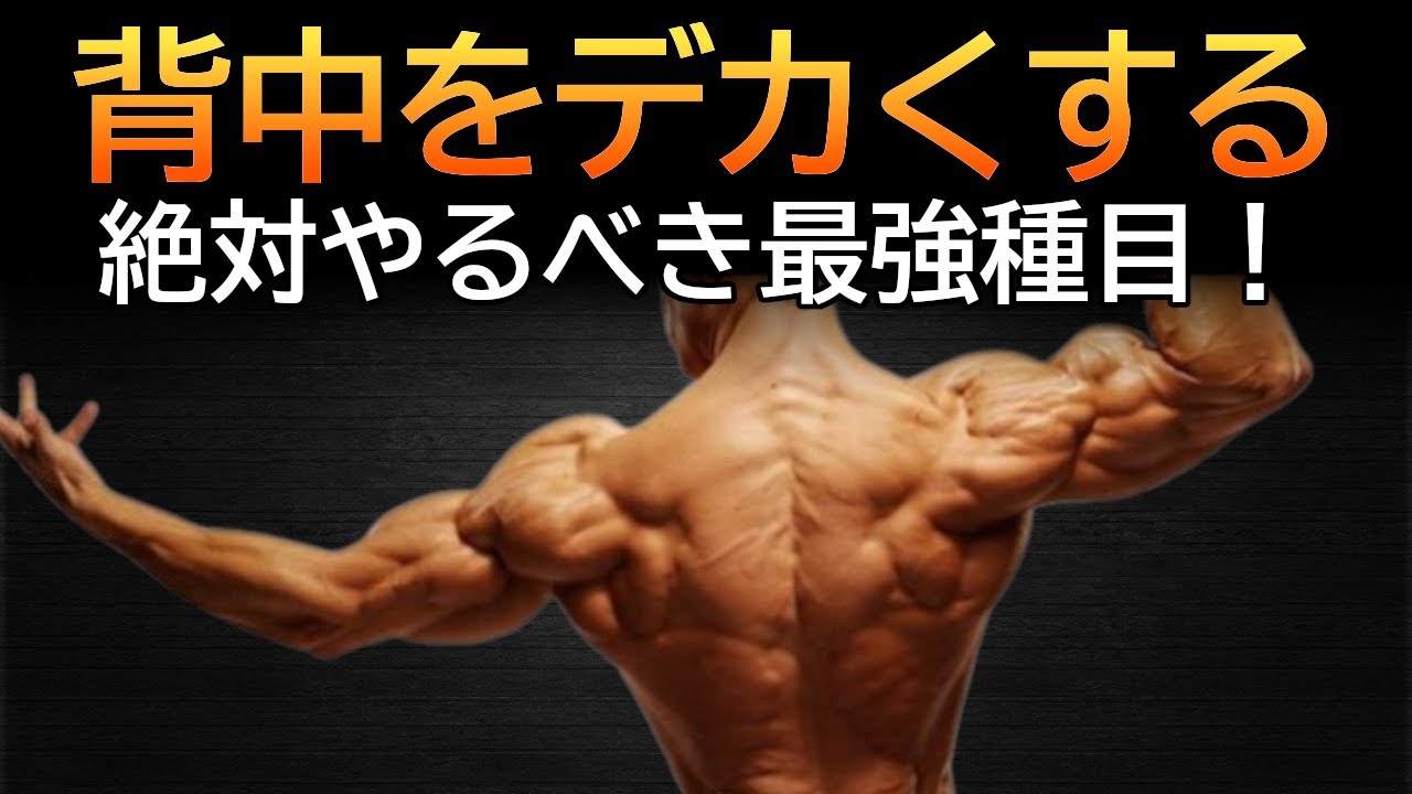 デカい背中が欲しいならこれをやれ！背中にヤバいほど効く最強種目と筋トレ法を科学的に徹底解説！