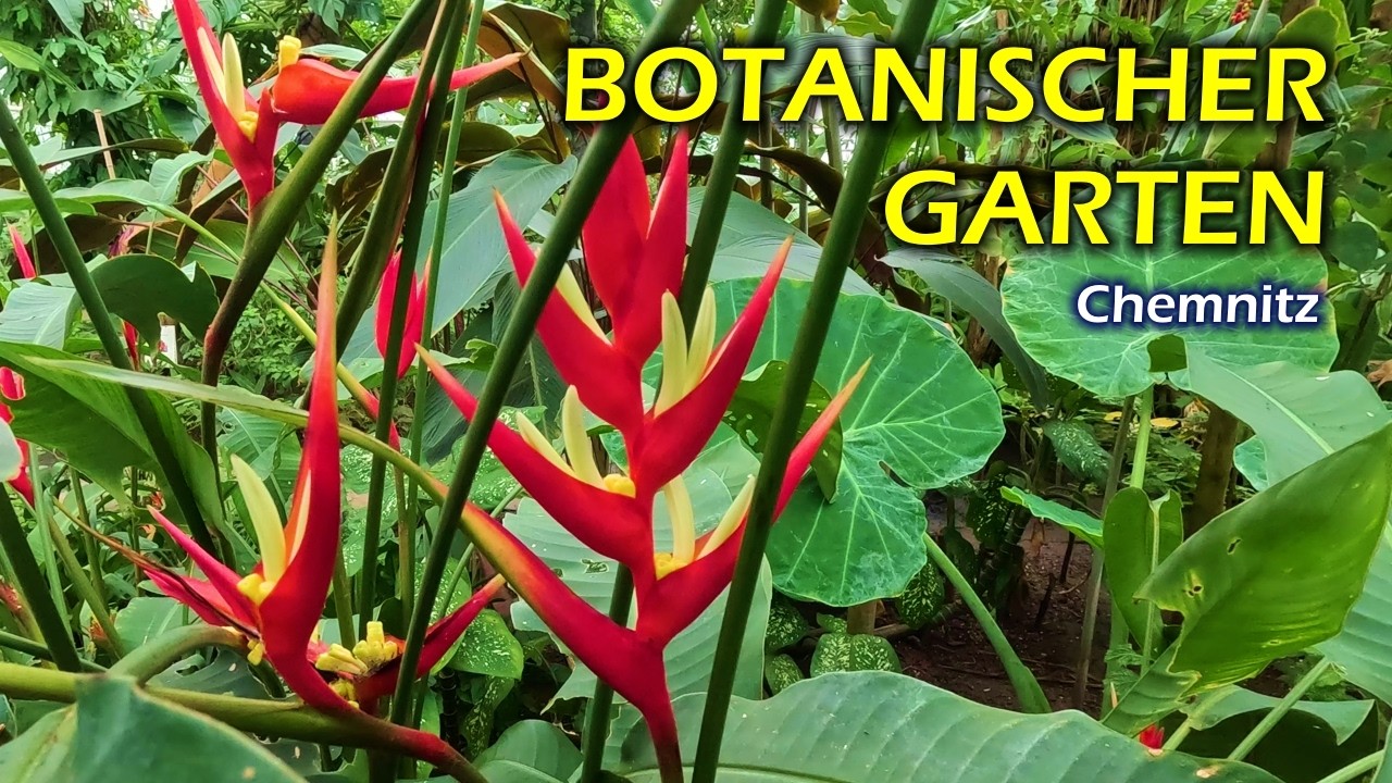 Botanischer Garten Chemnitz - Ein Schulbiologie- und Naturschutzzentrum