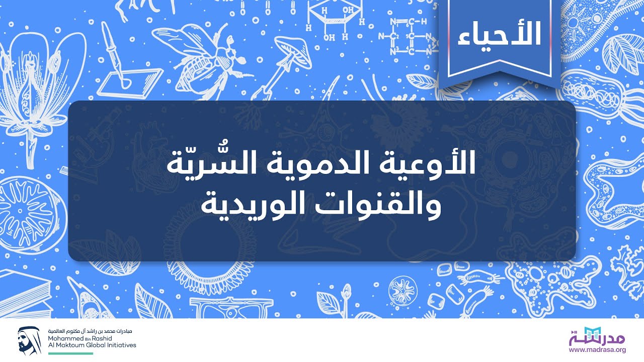 الأوعية الدموية السُّريّة والقنوات الوريدية | الأحياء | فسيولوجيا الجهاز الدوري المتقدمة