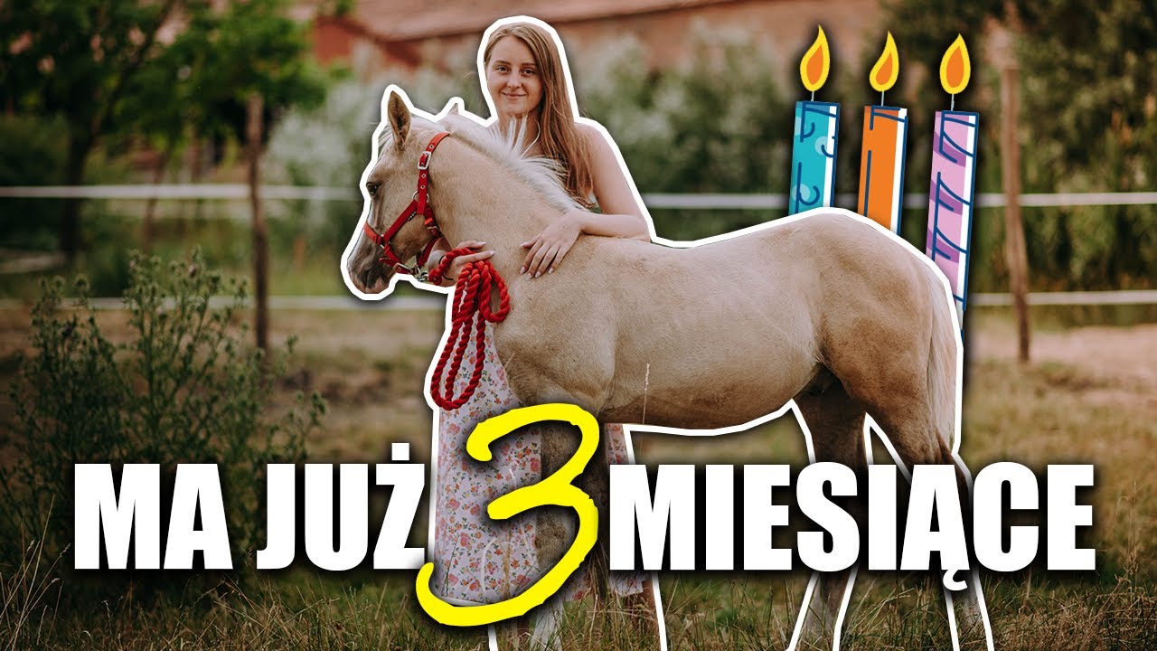 TRZECI MIESIĄC ŹREBAKA 😍 - CO SIĘ ZMIENIŁO?! 