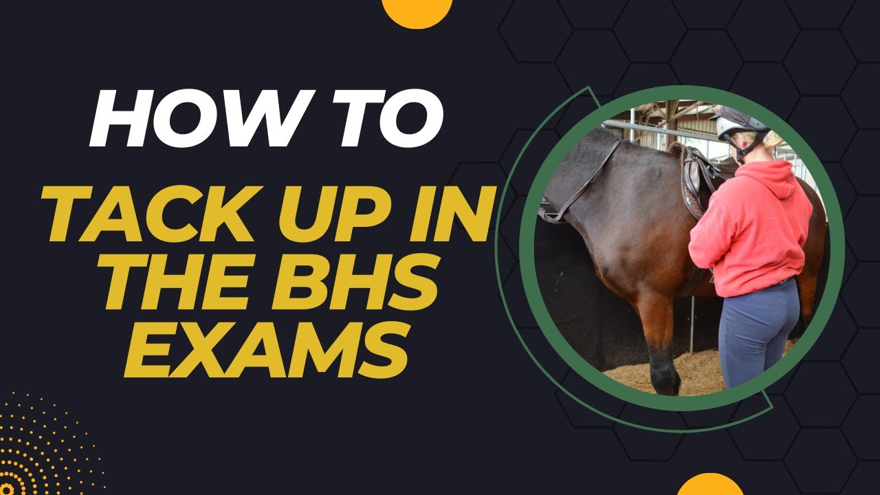 How To Tack Up in the BHS Exam.
