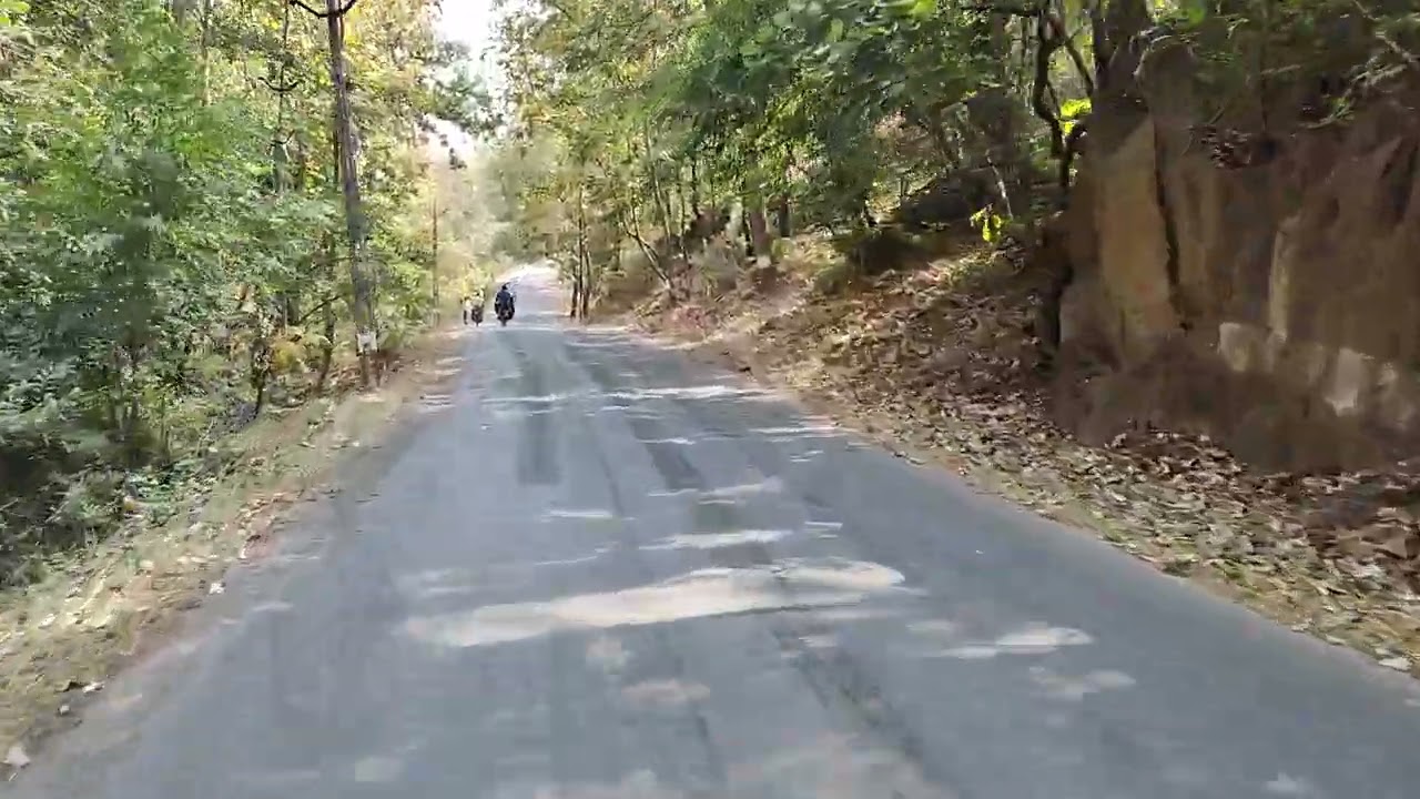 Road with Natural Beauty 🌹