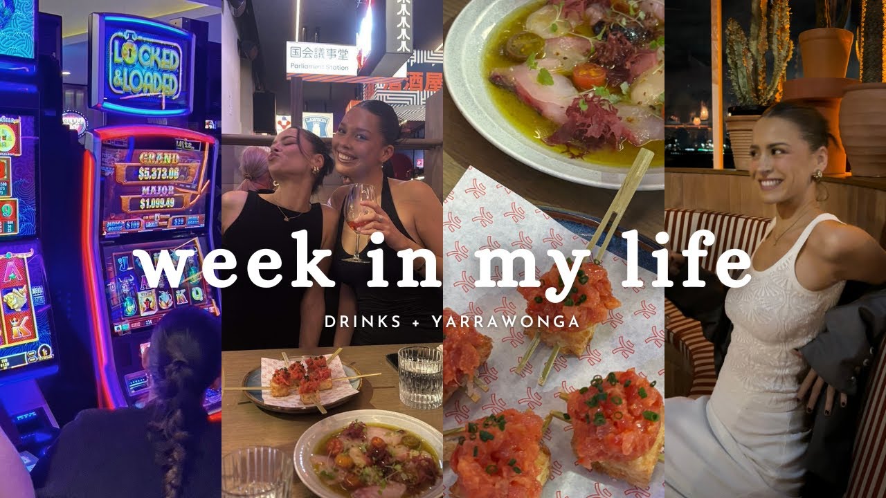 family trip + grocery haul + girls drinkies // WEEKLY VLOG 3