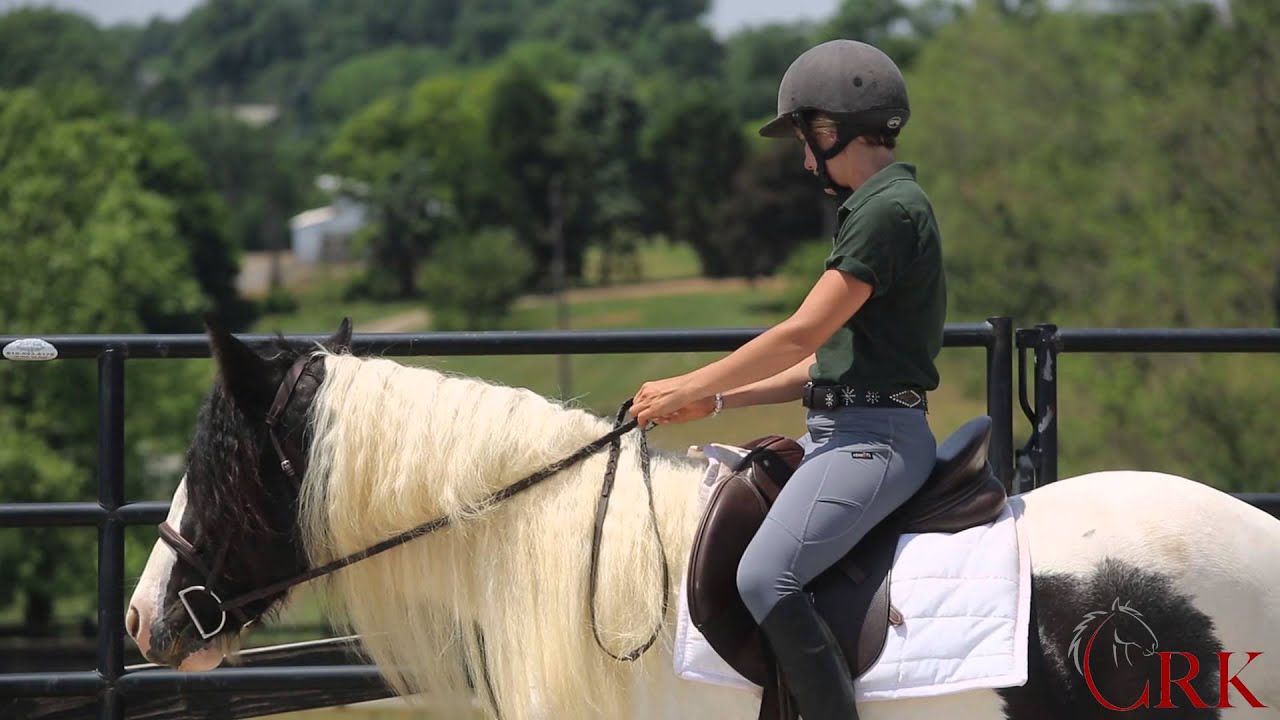Teaching a Young Horse Turn on the Forehand and Turn on the Haunches