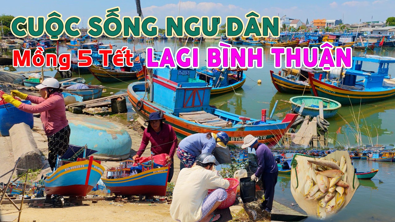 408. Ngư Dân LaGi Mồng 5 Tết || Mưu Sinh Bám Biển, Cuộc Sống ở Cảng Cá Lagi Bình Thuận