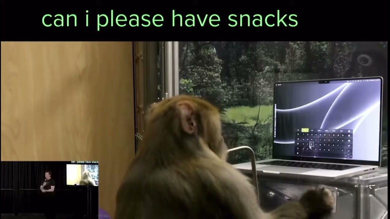 Elon Musk demonstrates Neuralink-trained monkey doing &lsquo;Telepathic Typing&rsquo;