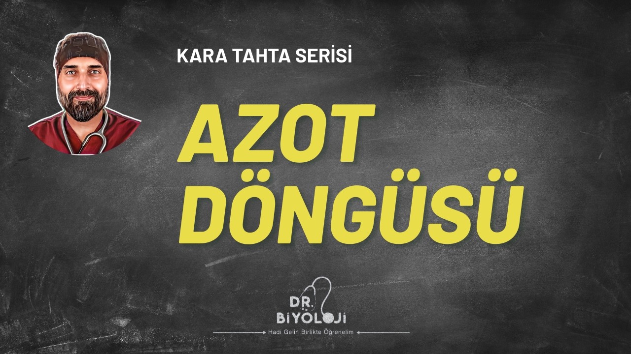Azot Döngüsü | Kara Tahta Serisi | Dr. Biyoloji