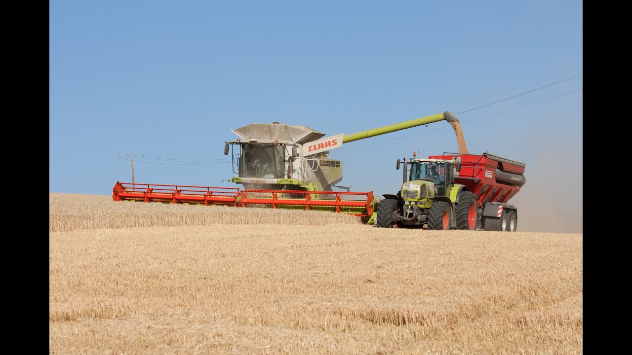 Moisson 2015 Claas Lexion 780 TT / Claas Atles 946 RZ / Perard Interbenne 25