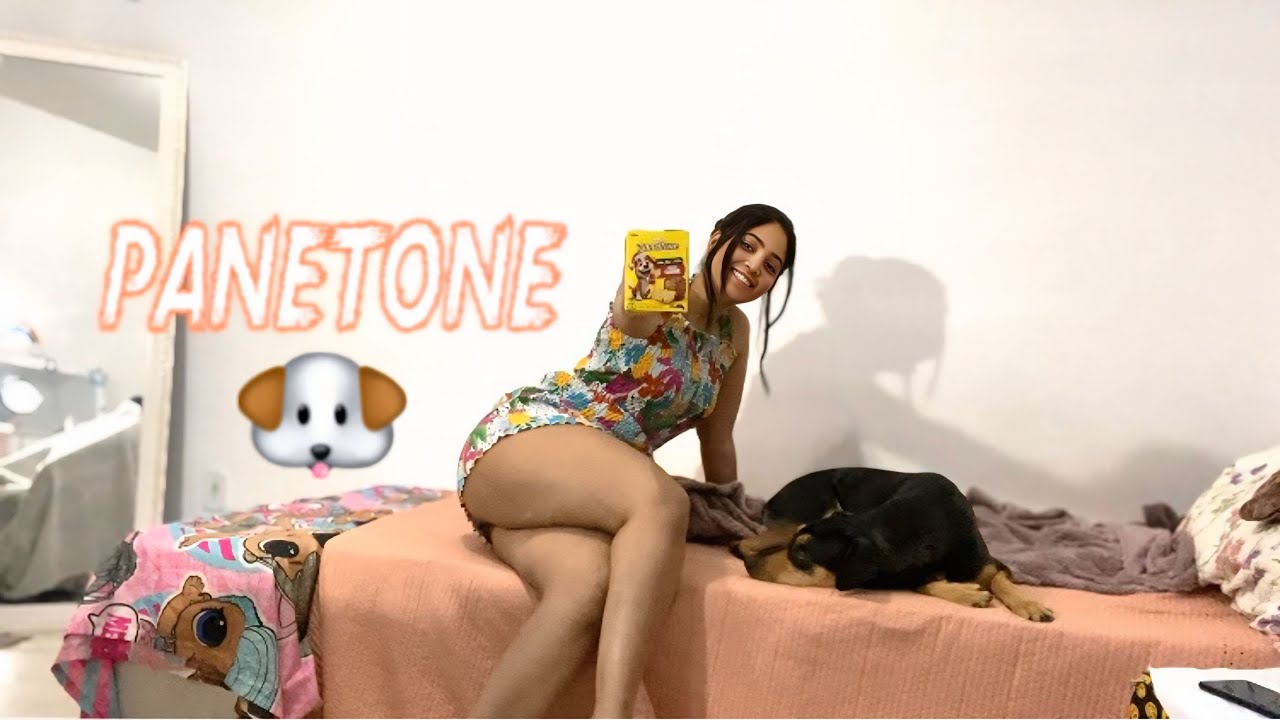 PANETONE DE CACHORRO ! 
