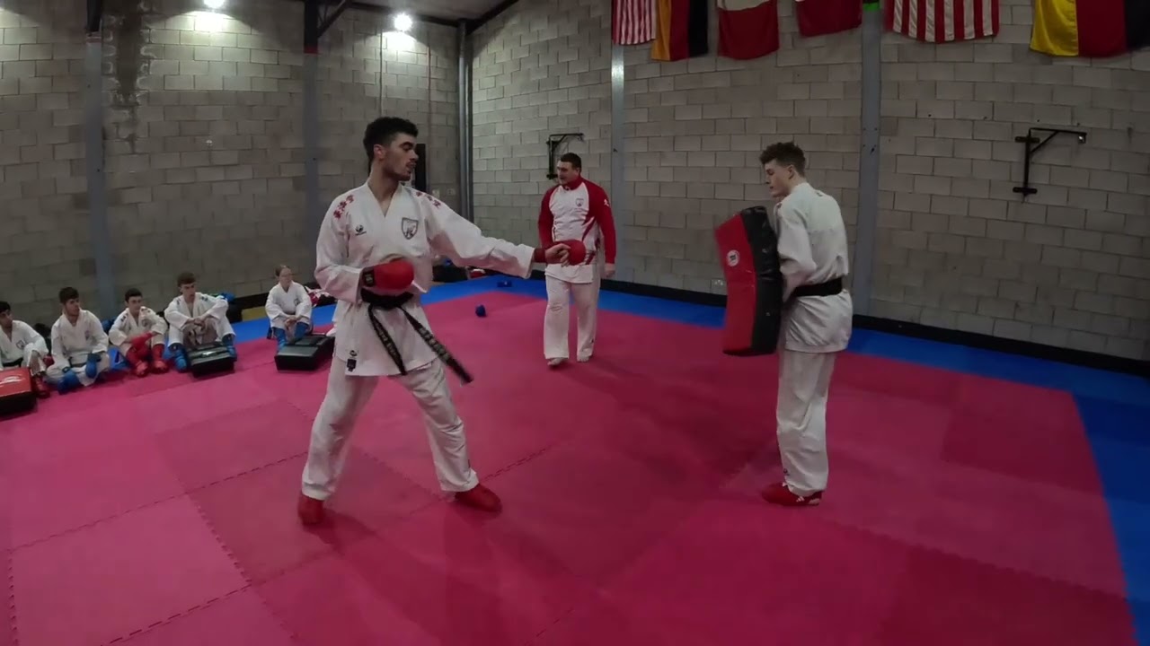 Tuition with Sensei Alex Rowley Snr Kumite coach