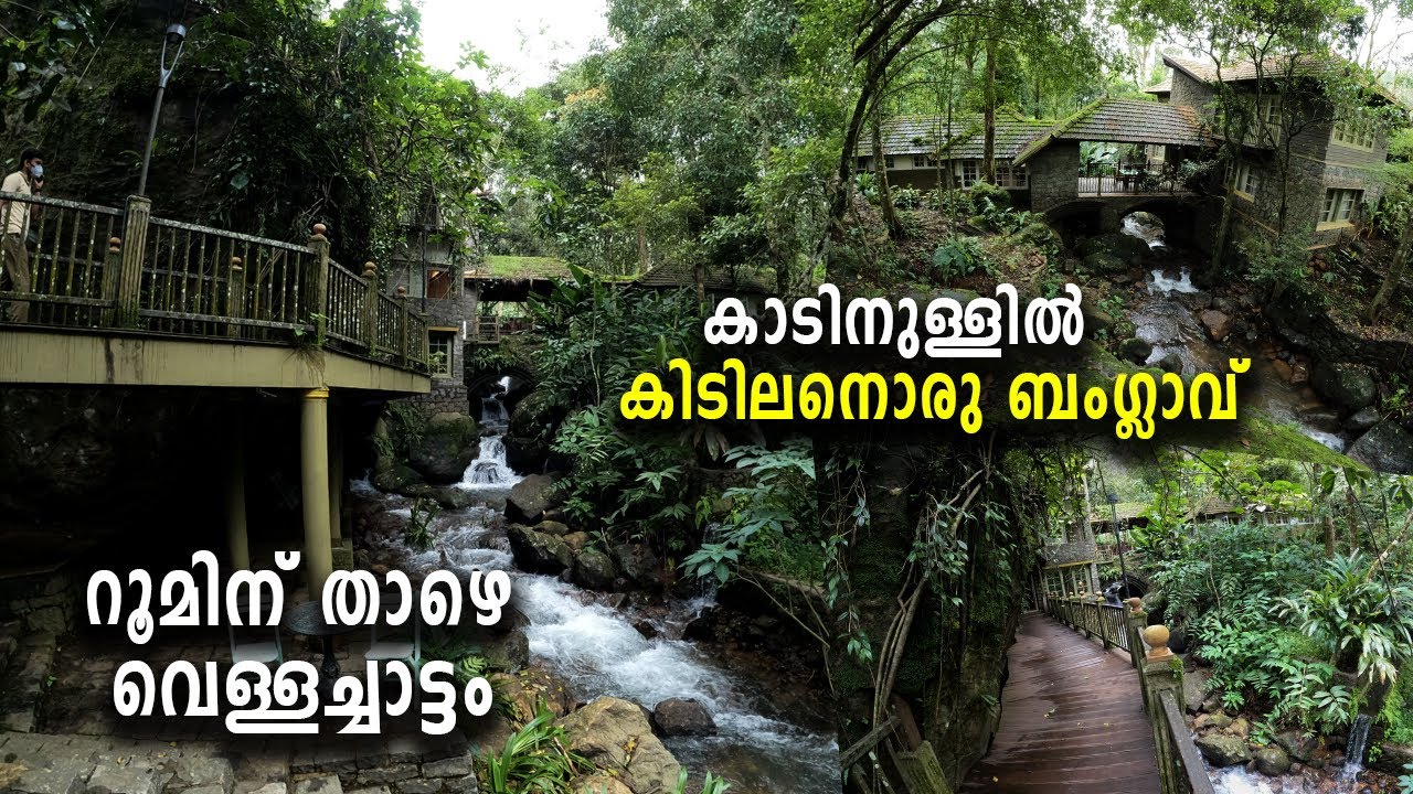 Plantation Bungalow in Thekkady| Mystic Mayapott | 140 ഏക്കറിൽ പ്രകൃതിയോടിണങ്ങി കിടിലനൊരു ബംഗ്ലാവ്💚