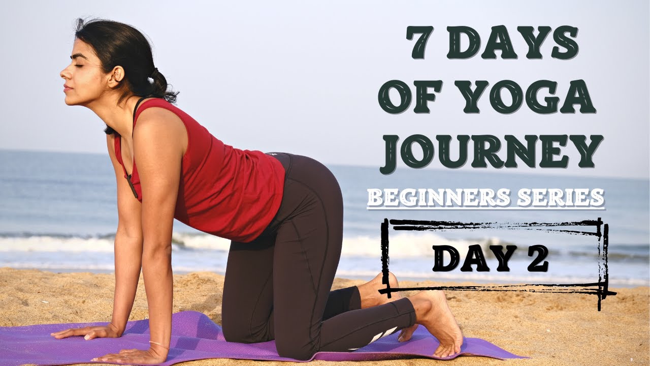 Day 2 - Stretching | 7 Days of Yoga Journey | Beginners Series