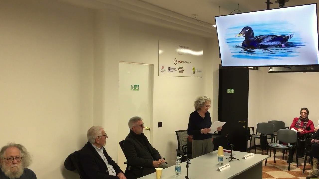INAUGURAZIONE Mostra di Lorenzo Cogo - Ali sull'acqua: 11 marzo 2026 ore 18 CSUV
