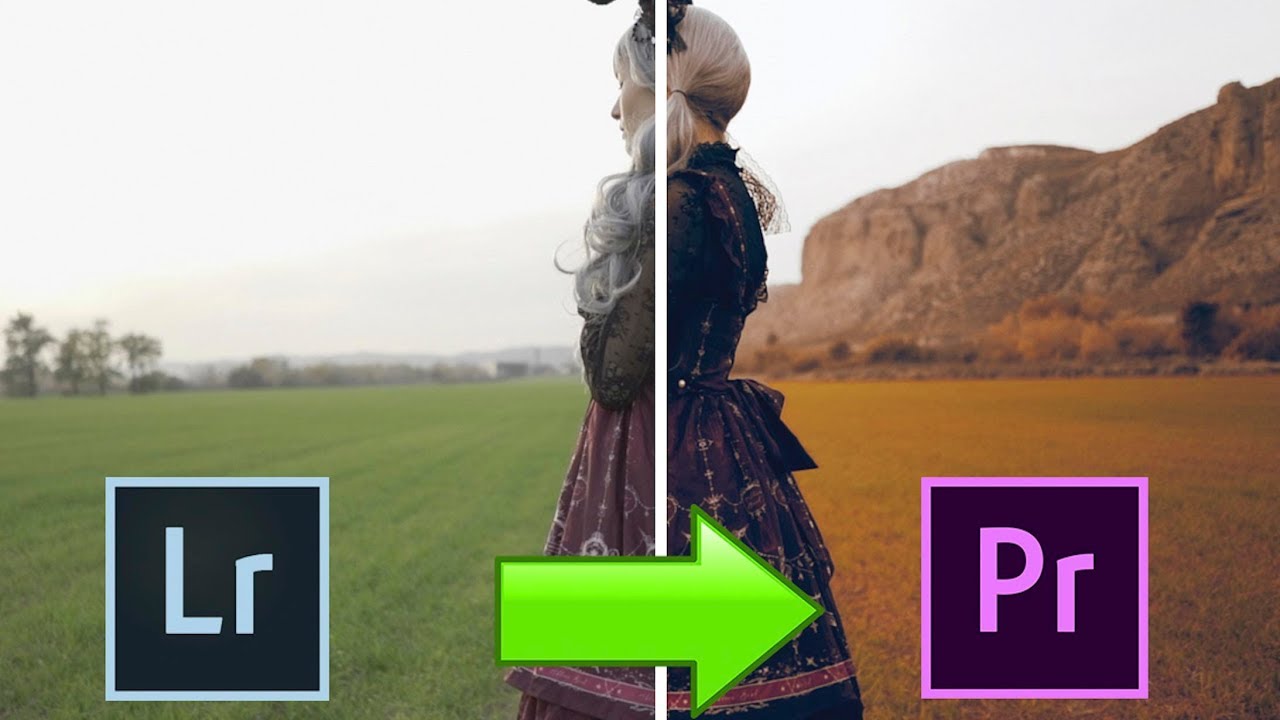 ¡Convierte tus PRESETS de Lightroom en LUTS para VÍDEO!