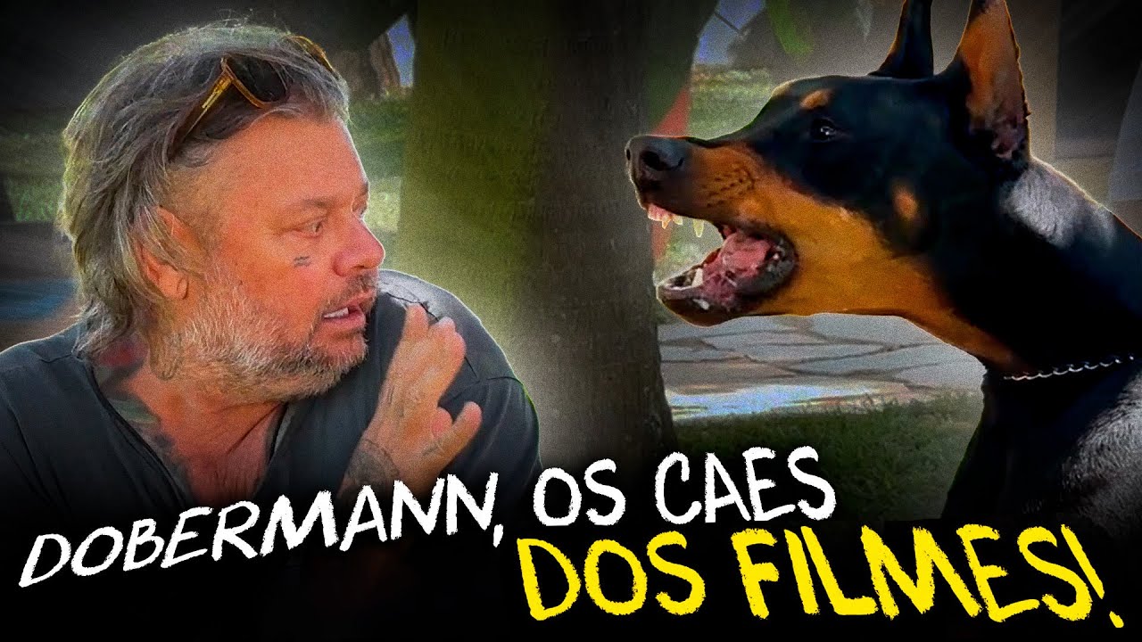 DOBERMANN, O CACHORRO MAIS ASSUSTADOR!