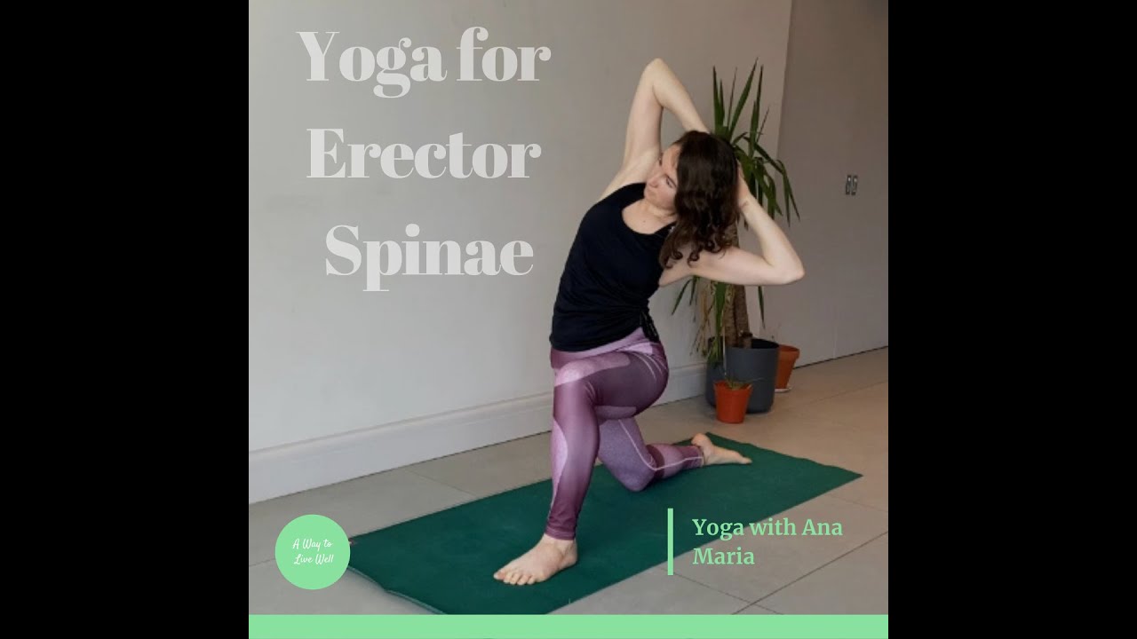 Yoga for back pain/ Erector Spinae