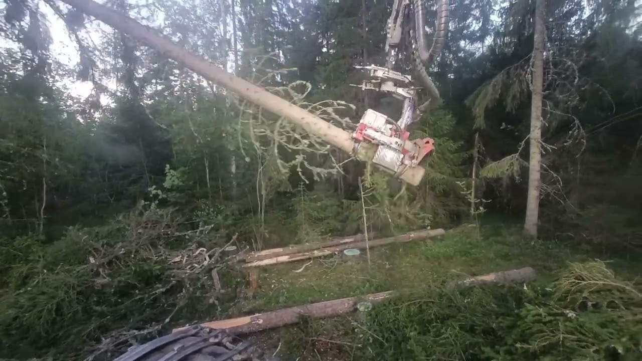 Kuusikko avohakkuuta. Komatsu 931 Logmax 5000d