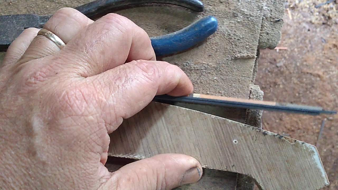Iniciando Uma gaiola com Coqueiro e Peroba rosa