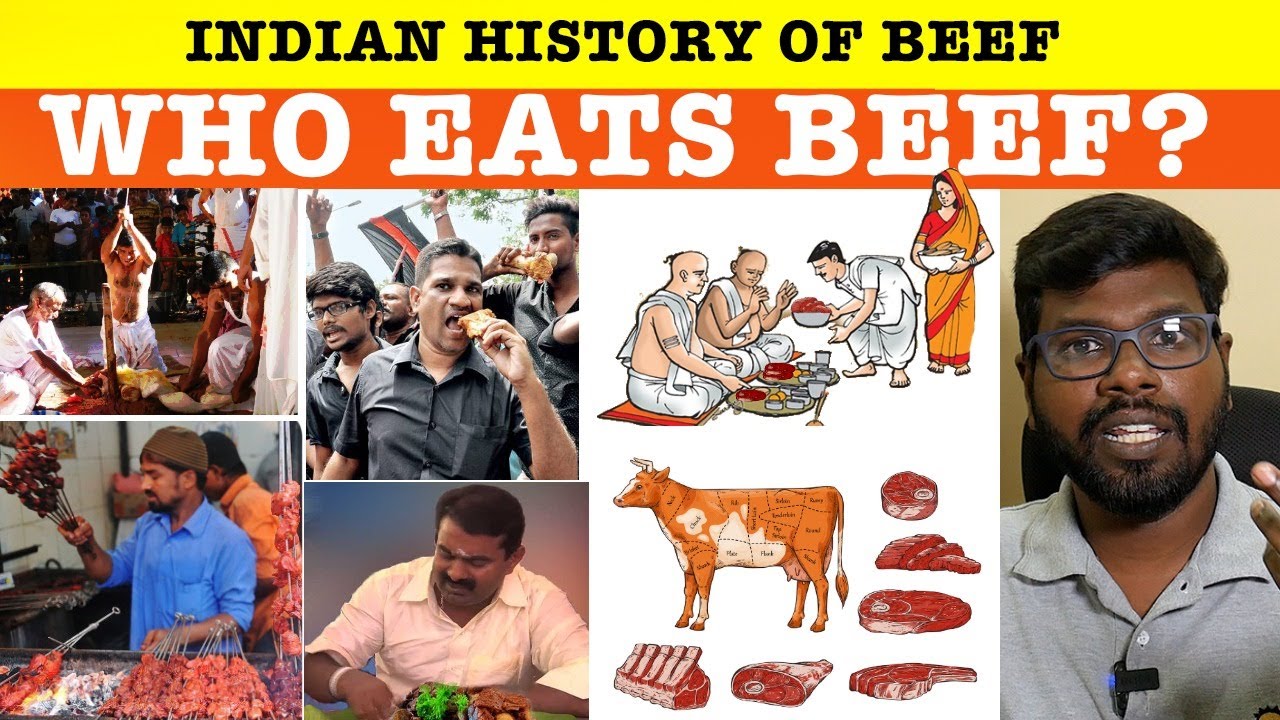 Indian History of Beef | பீஃபின் இந்திய வரலாறு | unavu arasiyal | Big Bang Bogan