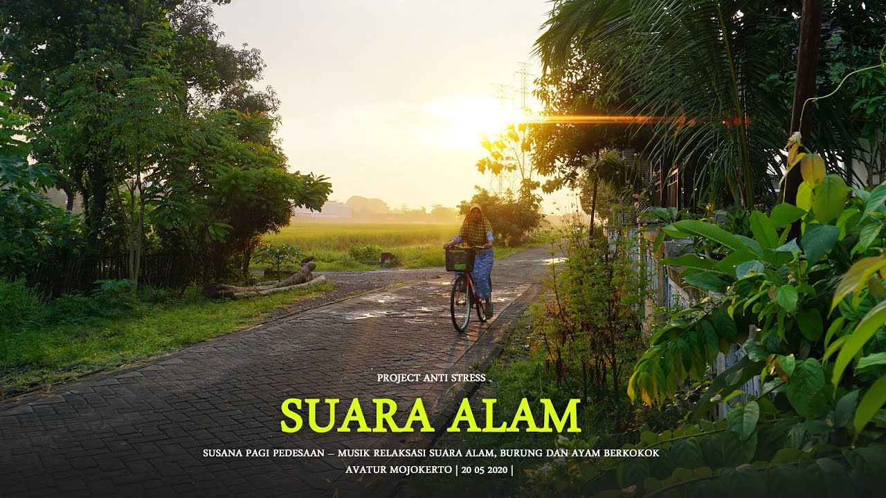 SUASANA PAGI PEDESAAN – MUSIK RELAKSASI SUARA ALAM, BURUNG DAN AYAM BERKOKOK