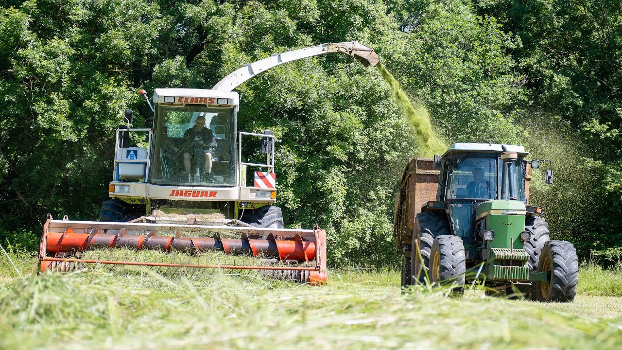 Ensilage d'herbe 2025 - Claas Jaguar 860 - ETA Bouteiller